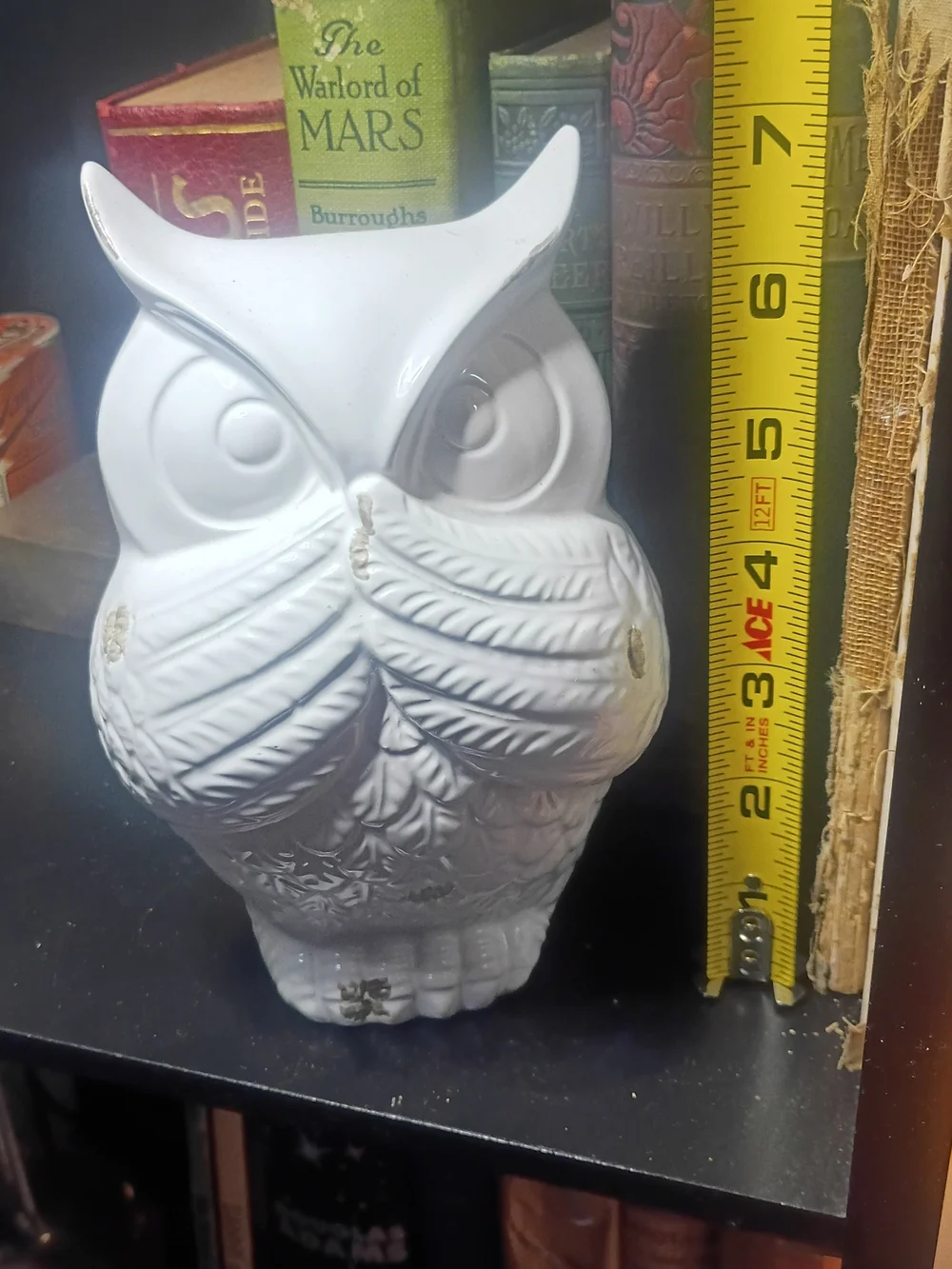 Pier 1 White Gloss Ceramic Owl Figurine